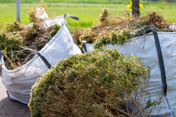 Debris Removal in Westlake Village, IL